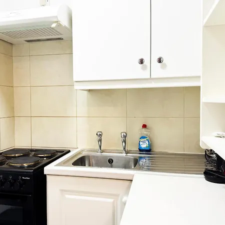 Viridian At 4 Apartment *